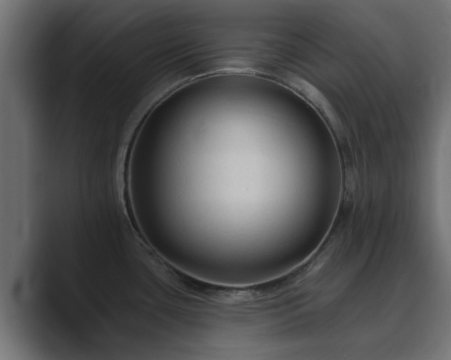 X0000089661435200706281313