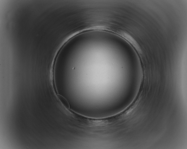 X0000089661436200706281313