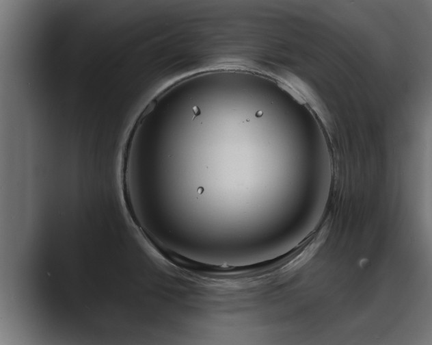 X0000089661438200706281313