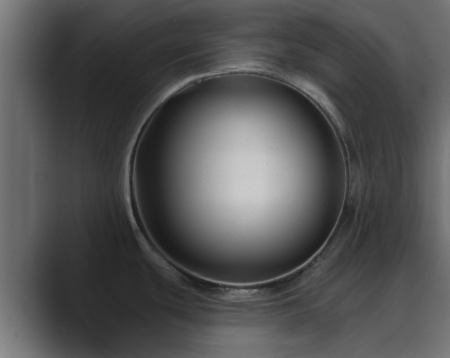 X0000089661439200706281313
