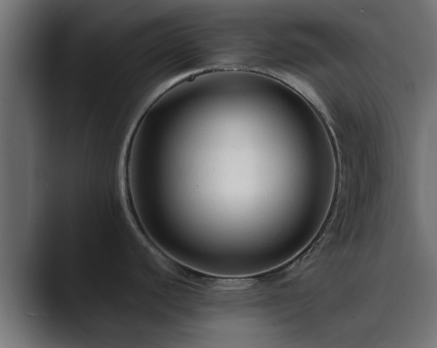X0000089661440200706281313
