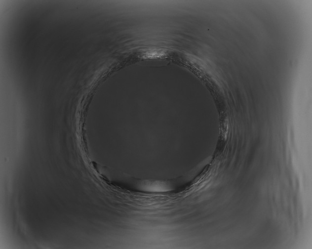 X0000089661441200706281313