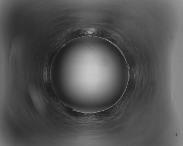 X0000089661442200706281313