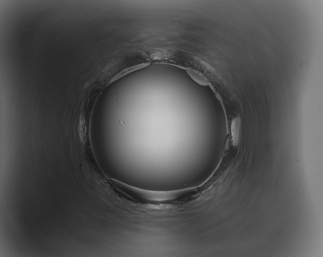X0000089661443200706281313