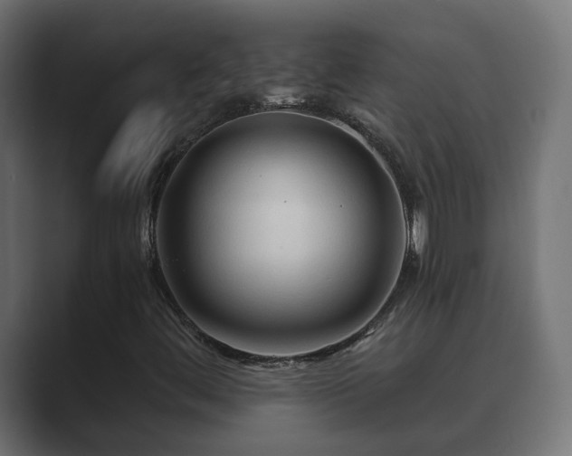 X0000089661444200706281313