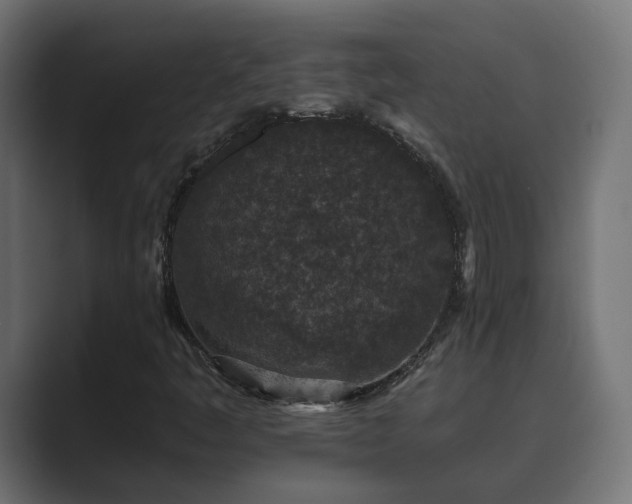 X0000089661445200706281313