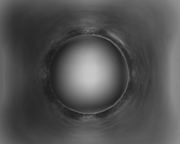 X0000089661447200706281313