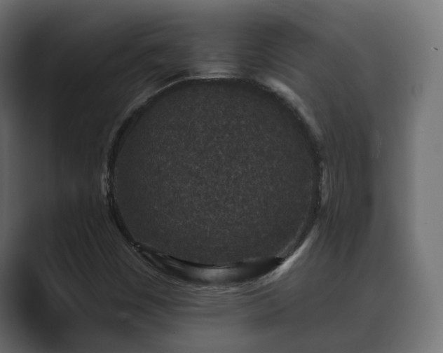 X0000089661449200706281313