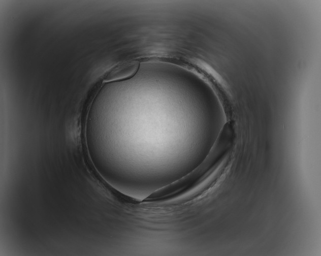 X0000089661450200706281313