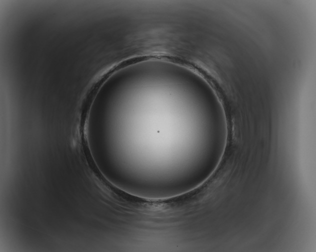 X0000089661452200706281313