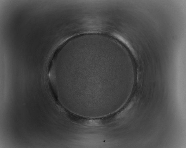 X0000089661453200706281313