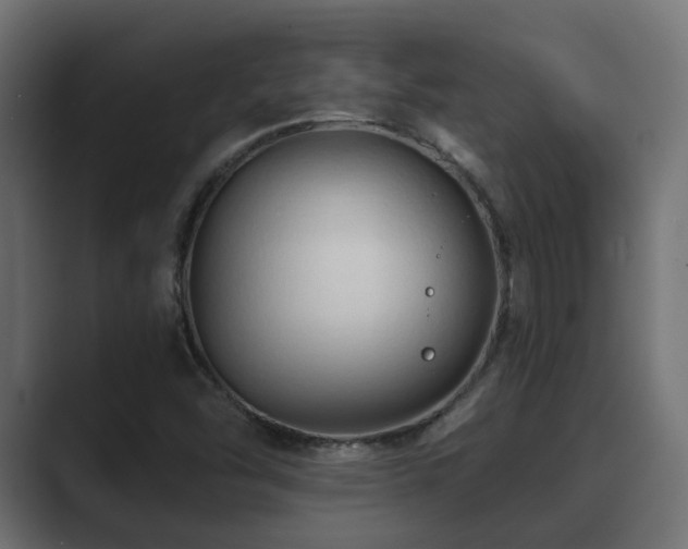 X0000089661454200706281313