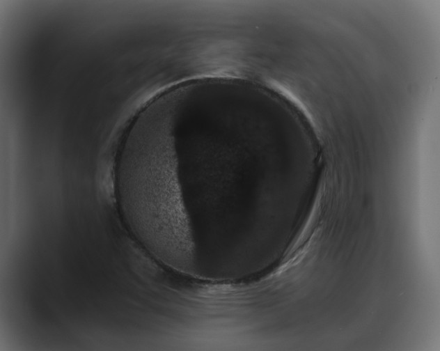 X0000089661455200706281313