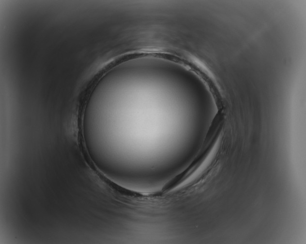 X0000089661456200706281312