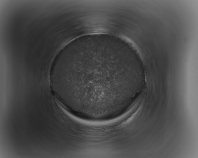 X0000089661457200706281312