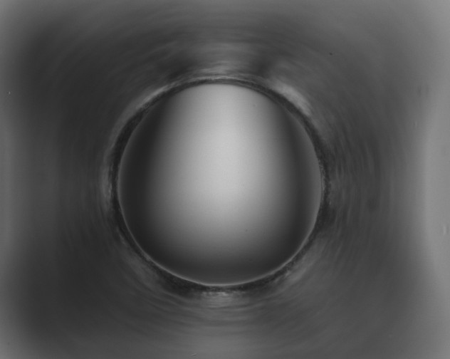 X0000089661458200706281312