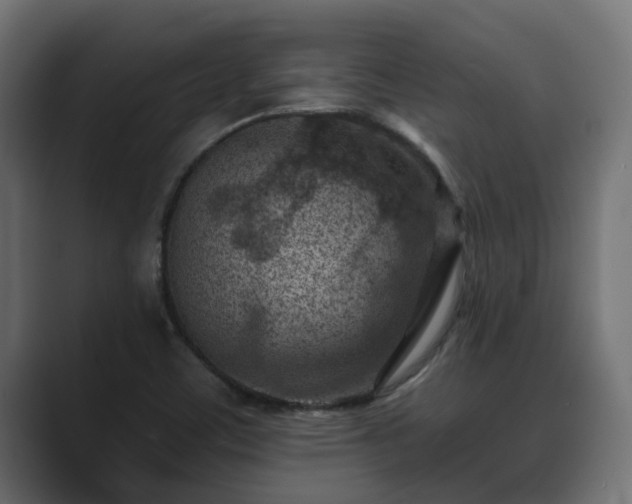 X0000089661459200706281312