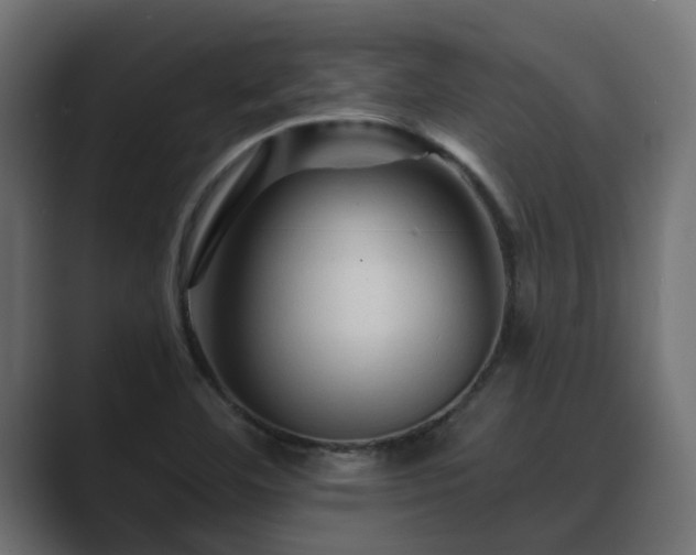 X0000089661460200706281312