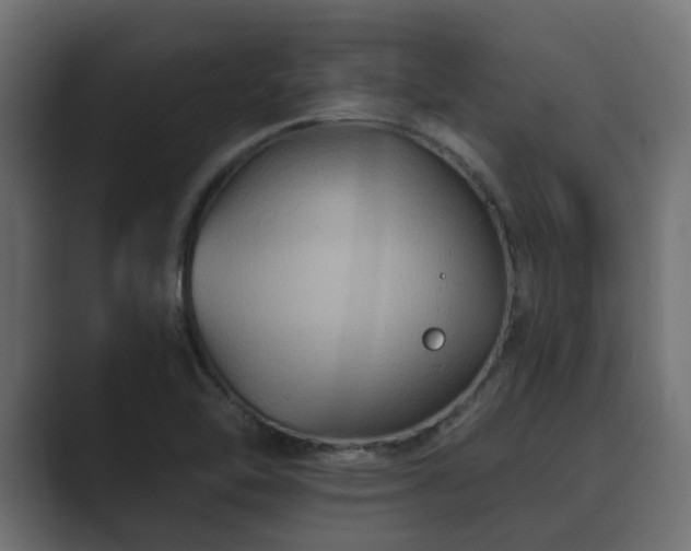 X0000089661462200706281312