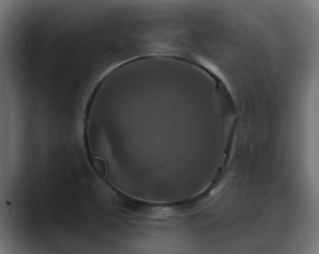X0000089661463200706281312