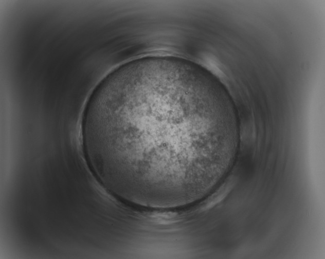 X0000089661466200706281312