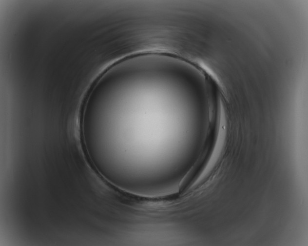 X0000089661468200706281312