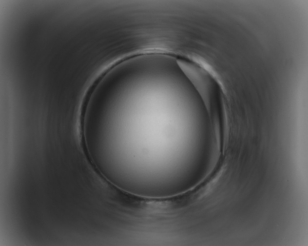 X0000089661469200706281312