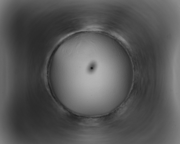 X0000089661470200706281312