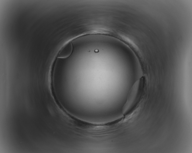 X0000089661471200706281312