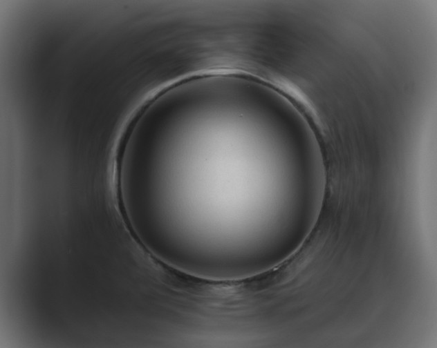X0000089661472200706281312