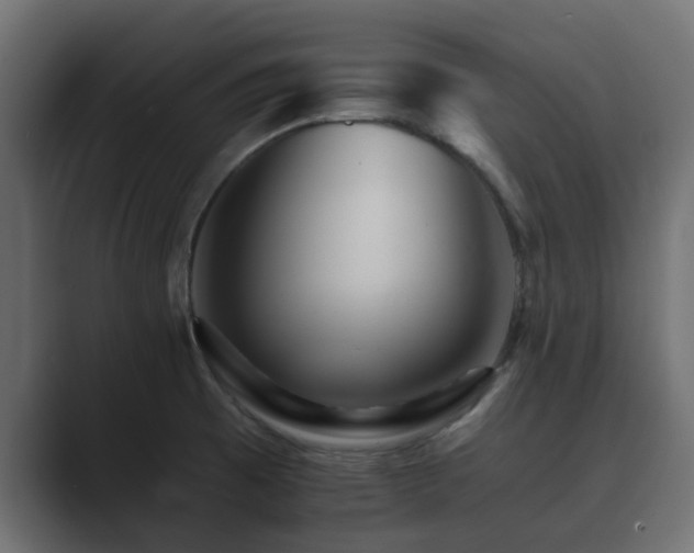 X0000089661473200706281312