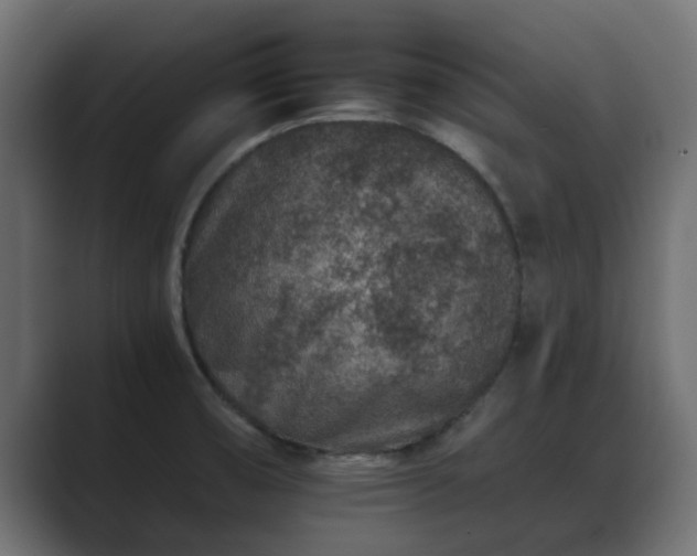 X0000089661474200706281312