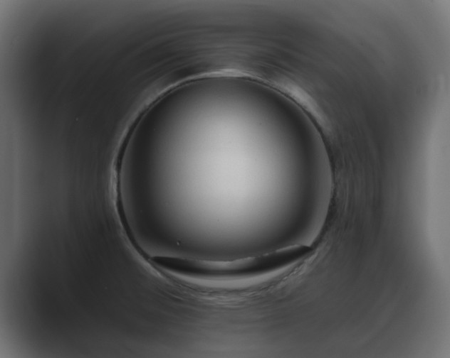 X0000089661476200706281312