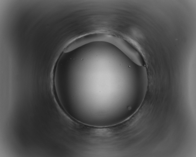 X0000089661479200706281312