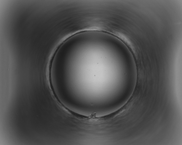 X0000089661480200706281312