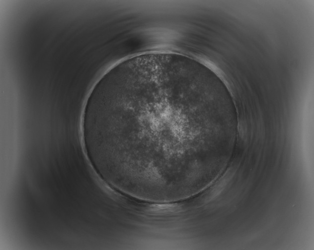 X0000089661482200706281312