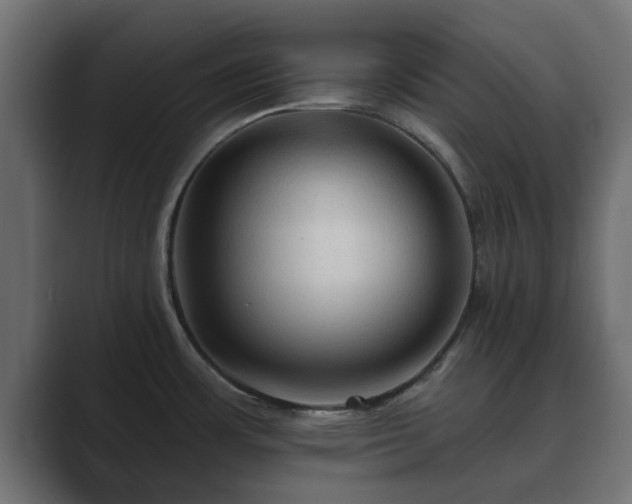 X0000089661483200706281312