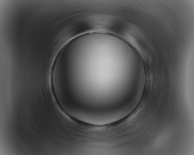 X0000089661484200706281312