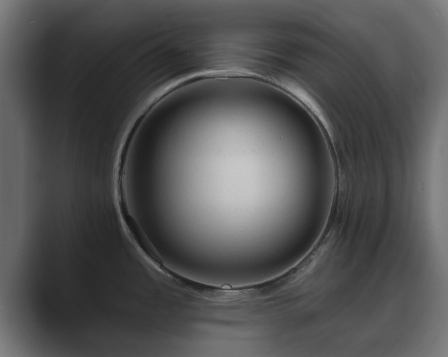 X0000089661485200706281312