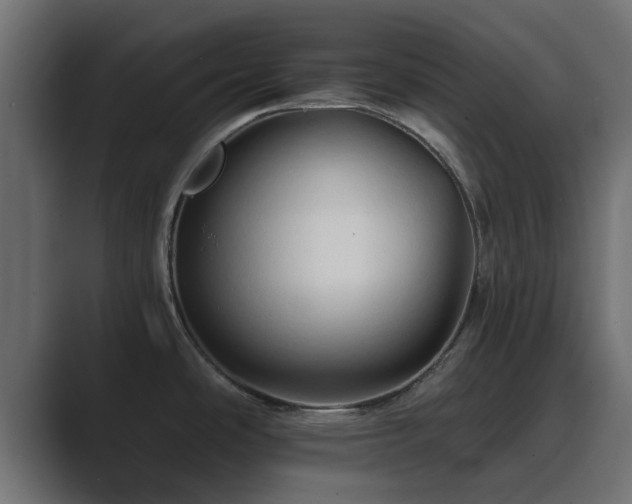 X0000089661486200706281312
