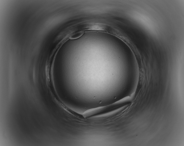 X0000089661487200706281312