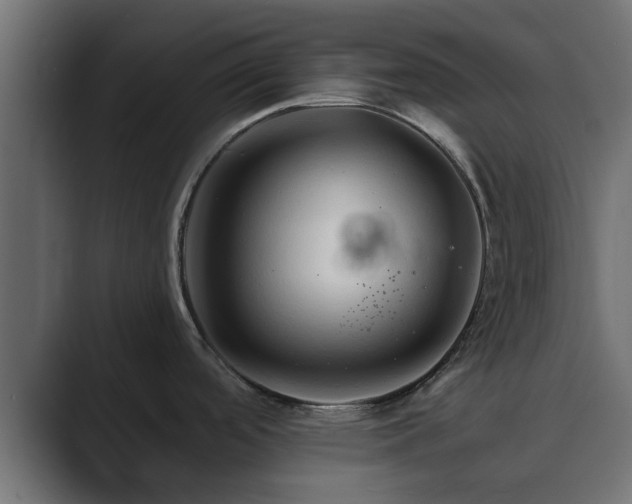X0000089661488200706281312
