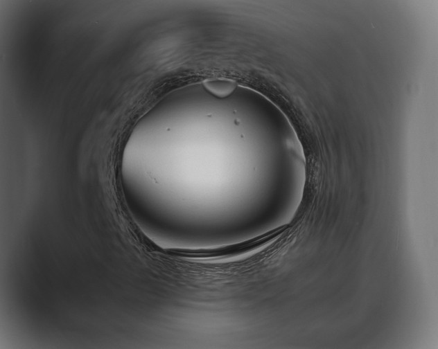 X0000089661489200706281312
