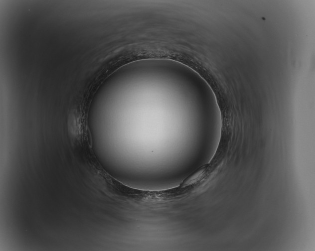 X0000089661490200706281312