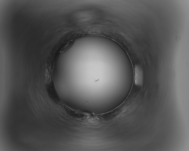 X0000089661491200706281312