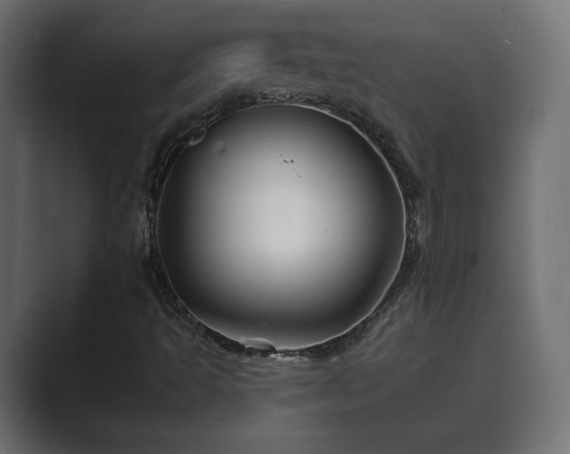 X0000089661493200706281312