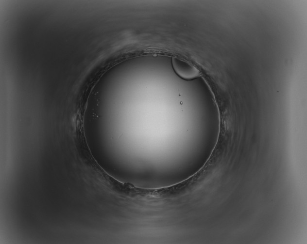 X0000089661495200706281312