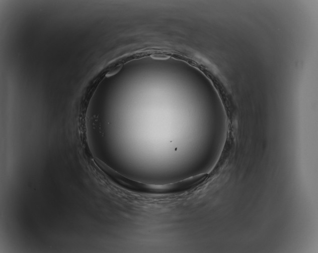 X0000089661496200706281312