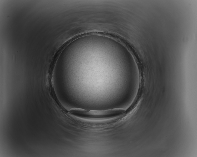 X0000089661497200706281312
