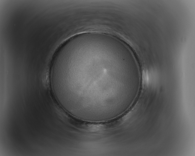 X0000089661498200706281312